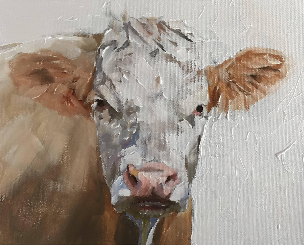 Cow Painting, Prints, Canvas, Posters, Originals, Commissions, Fine Art - from original oil painting by James Coates