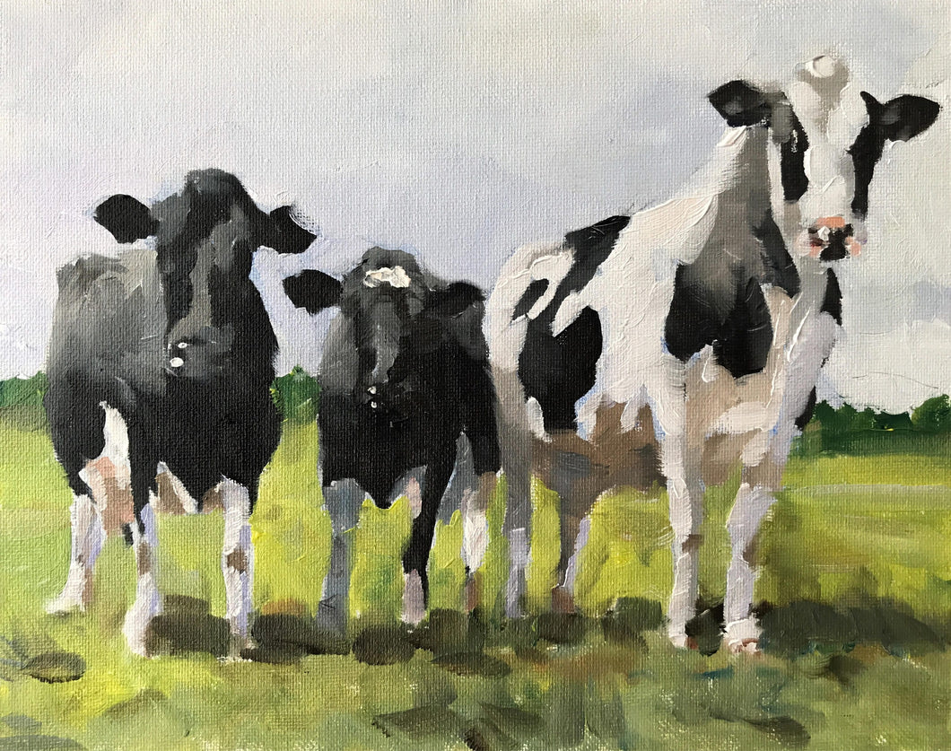 Cow Painting, PRINTS, Canvas, Posters, Originals, Commission - Fine Art, from original oil painting by James Coates