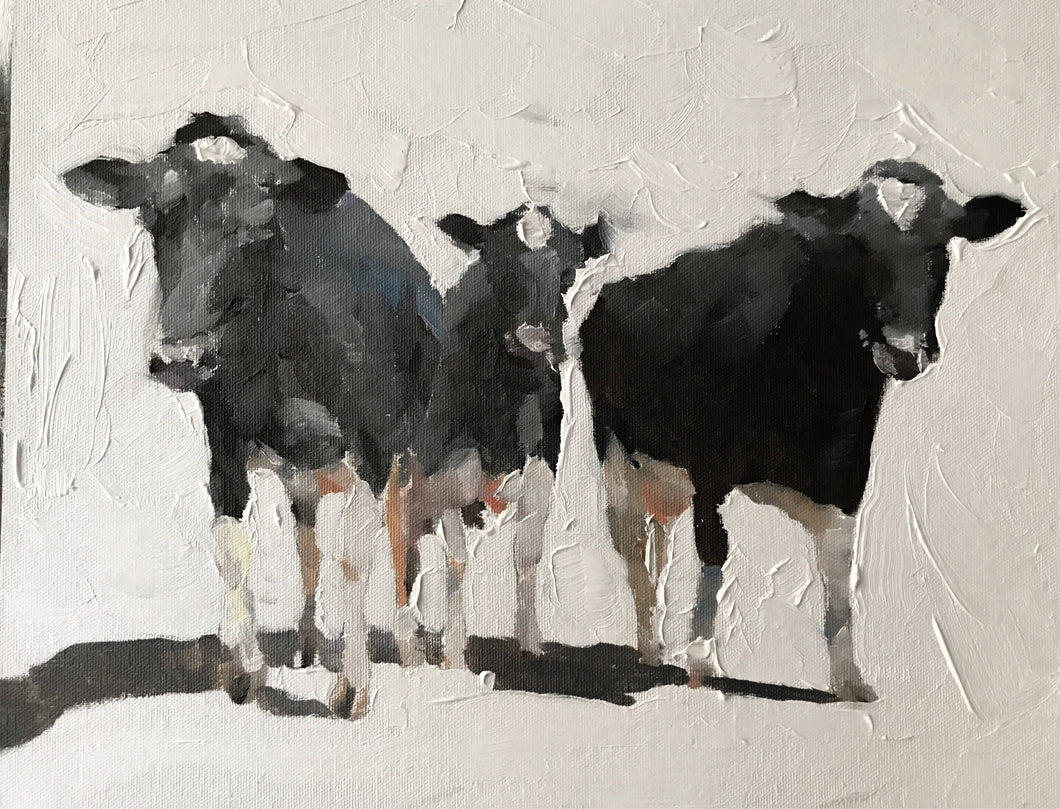 Three black Cows Painting, Prints, Canvas, Posters, Originals, Commissions, Fine Art - from original oil painting by James Coates