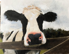 Load image into Gallery viewer, Cow Painting ,Cow art , Cow Print ,Fine Art - from original oil painting by James Coates
