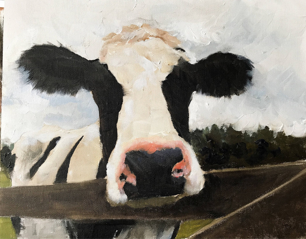 Cow Painting ,Cow art , Cow Print ,Fine Art - from original oil painting by James Coates