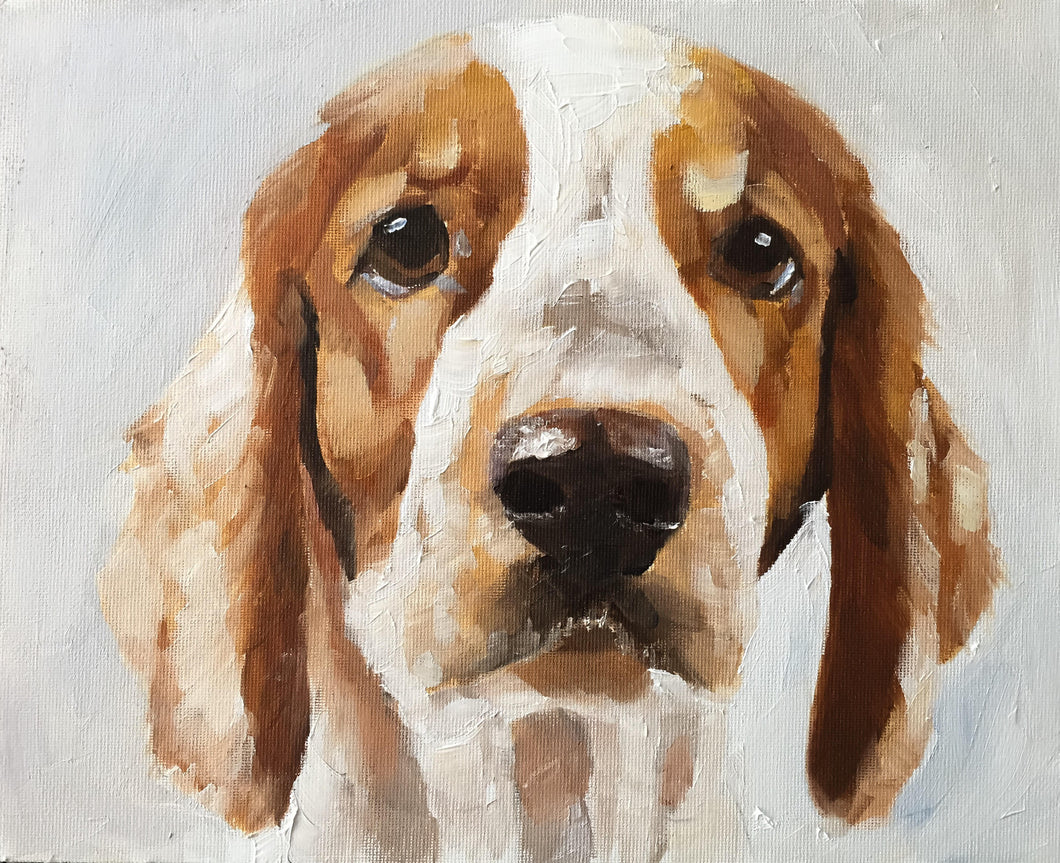 Beagle Dog Painting, Prints, Canvas, Posters, Originals, Commission, Fine Art - from original oil painting by James Coates