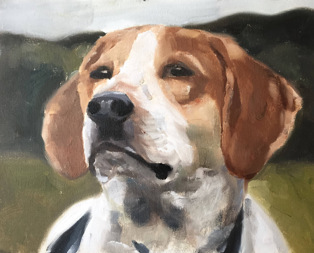 Dog Painting, Prints, Canvas, Posters, Originals, Commissions,  Fine Art - from original oil painting by James Coates