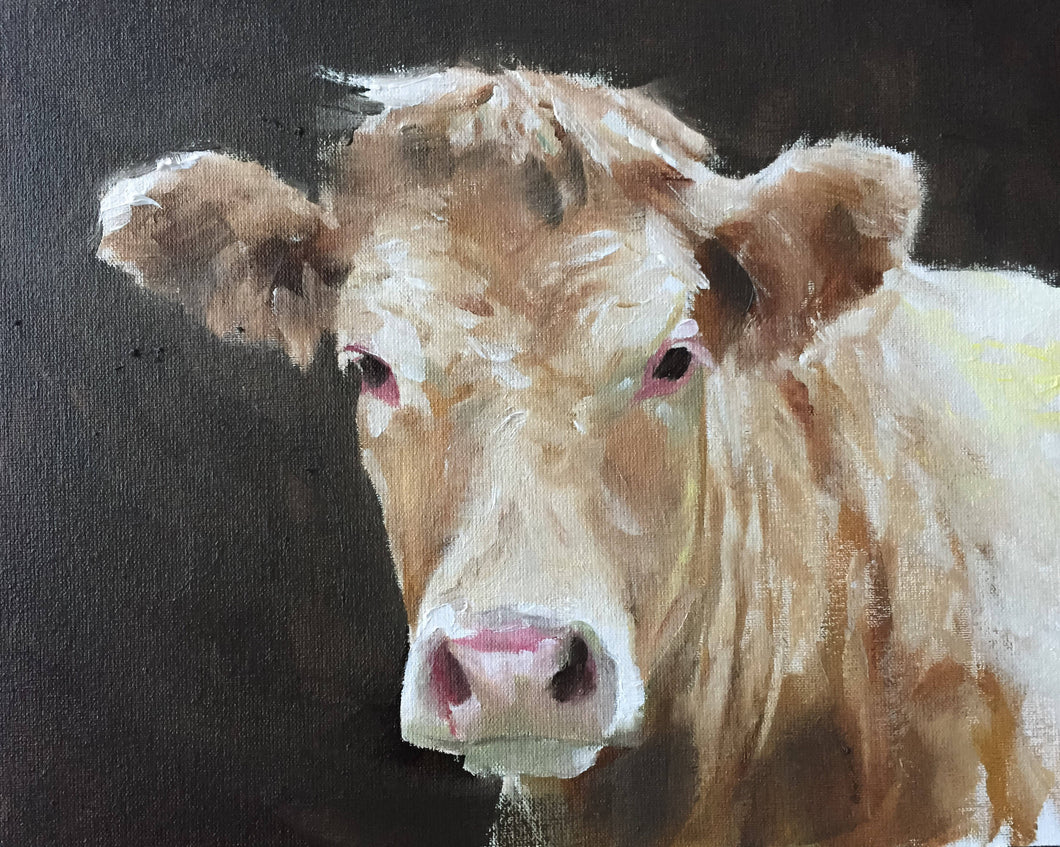 Cow Painting, PRINTS, Cow art, Canvas, Fine Art - from original oil painting by James Coates