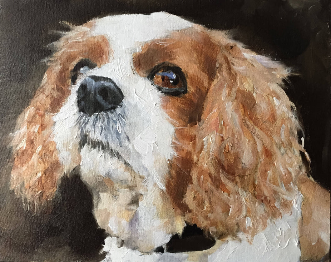 Cavalier Dog Painting, Print, Canvas, Posters, Originals, Commissions,  Fine Art - from original oil painting by James Coates