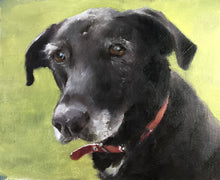 Load image into Gallery viewer, Old Dog Painting, Prints, Canvas, Posters, Originals, Commissions, Fine Art - from original oil painting by James Coates

