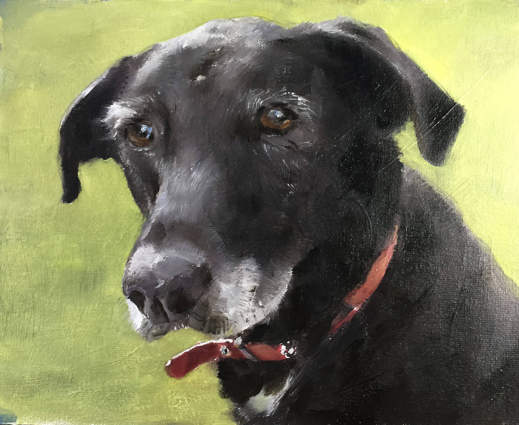 Old Dog Painting, Prints, Canvas, Posters, Originals, Commissions, Fine Art - from original oil painting by James Coates