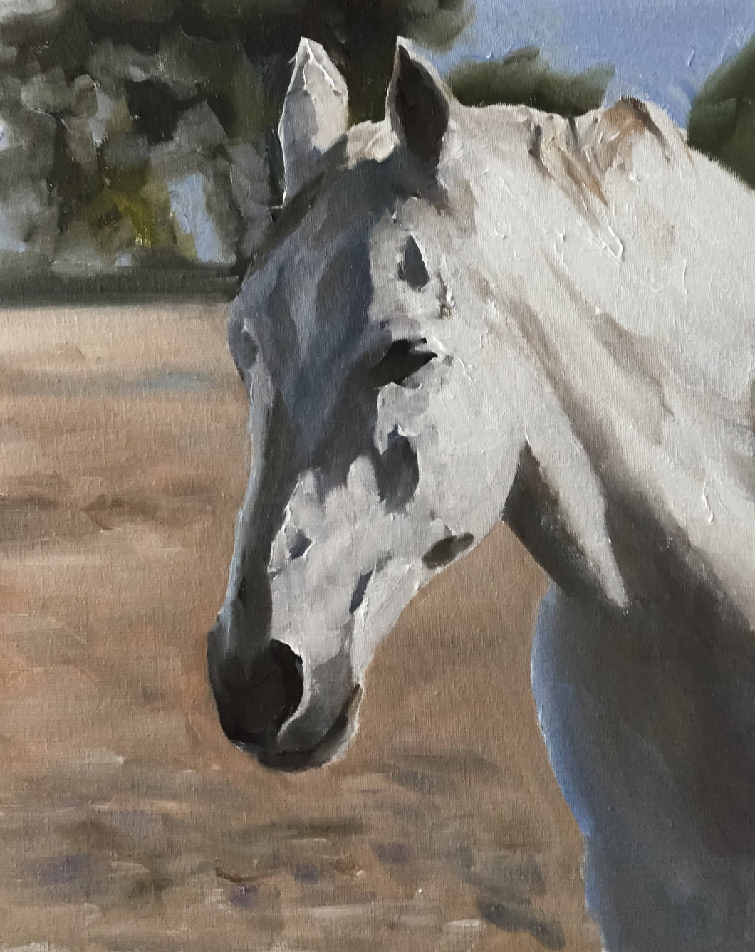 White horse Painting, Prints, Canvas, Posters, Originals, Commissions,  Fine Art - from original oil painting by James Coates