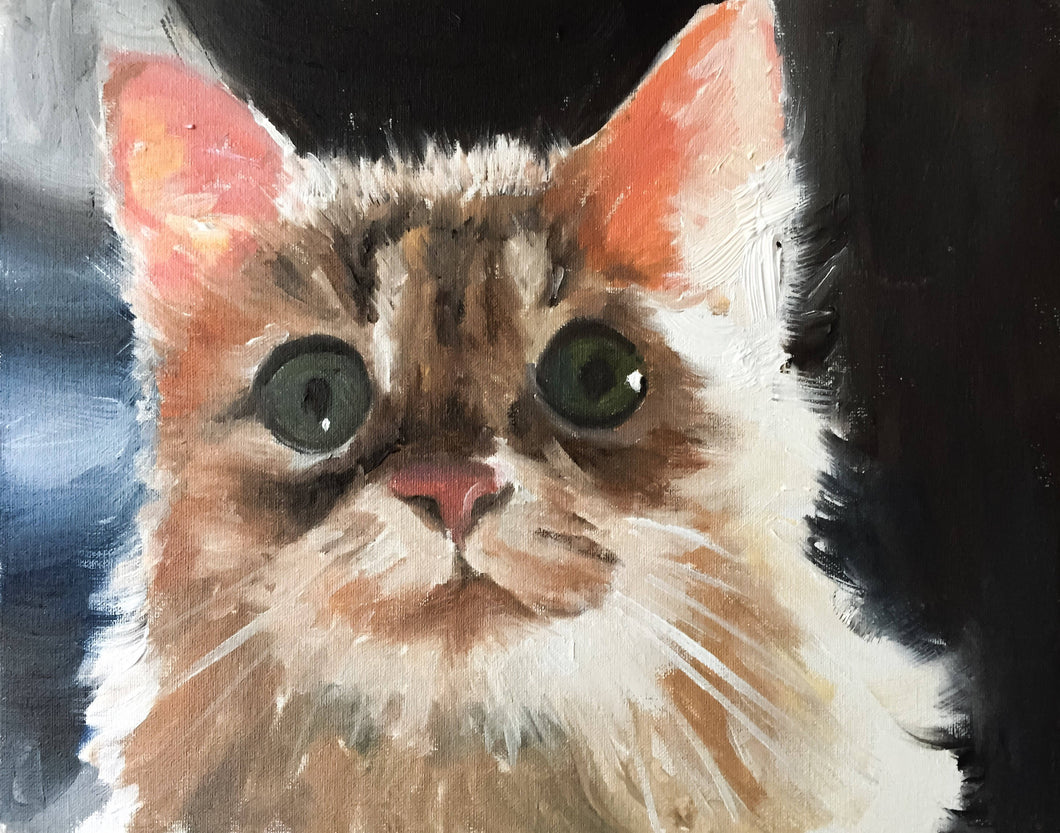 Cat Painting, cat Poster, cat Wall art, Canvas Print - Fine Art - from original oil painting by James Coates