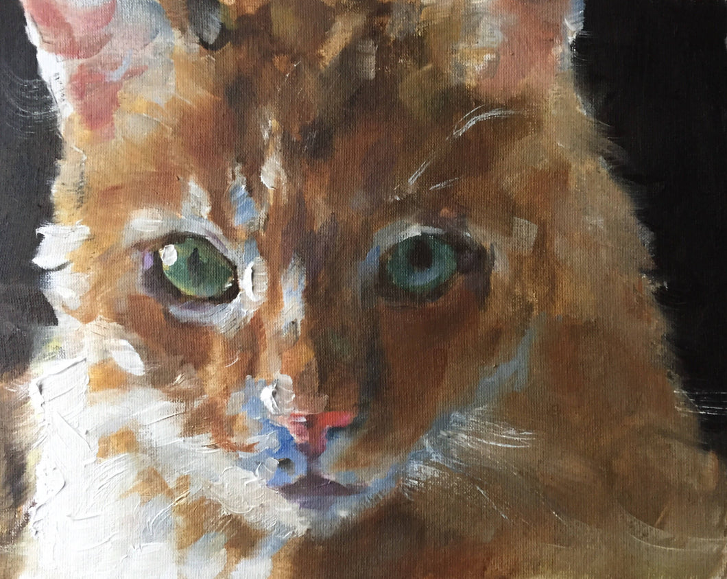 Cat Painting, Prints, Canvas, Posters, Originals, Commissions - Fine Art, from original oil painting by James Coates