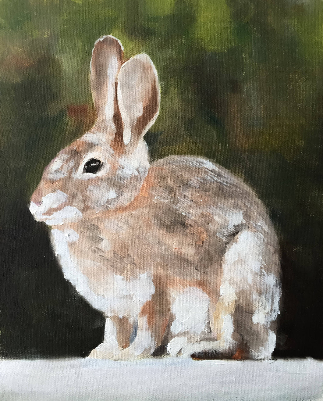 Rabbit - Painting - Poster - Wall art - Canvas Print - Fine Art - from original oil painting by James Coates