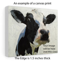 Load image into Gallery viewer, Cow Painting, Wall art, Canvas Print, Fine Art - from original oil painting by James Coates
