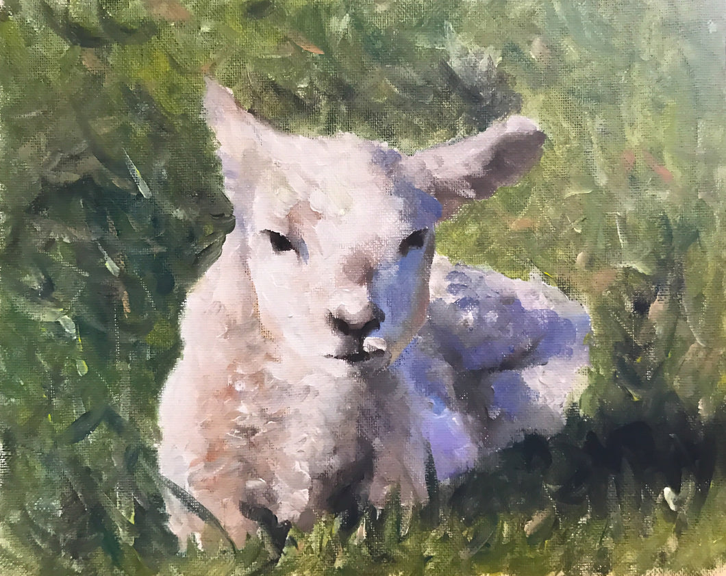 Sheep Painting, Sheep Poster, sheep Wall art, sheep Canvas Print, sheep Fine Art - from original oil painting by James Coates