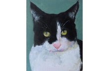 Load image into Gallery viewer, Cat Painting, PRINTS, Canvas, Poster, Commissions, Fine Art - from original oil painting by James Coates
