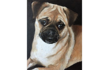 Load image into Gallery viewer, Pug Dog Painting, Prints, Posters, Originals, Commissions, Fine Art - from original oil painting by James Coates
