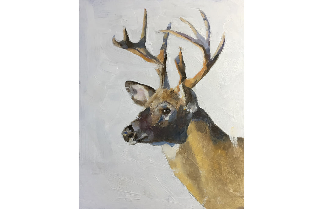 Deer Painting, PRINTS, Canvas, Poster, Commissions, Fine Art - from original oil painting by James Coates