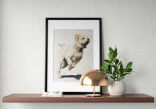 Load image into Gallery viewer, Golden Lab Painting, Prints, Canvas, Posters, Originals, Commissions, Fine Art - from original oil painting by James Coates
