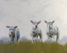 Load image into Gallery viewer, Sheep Painting, sheep Poster, Wall art ,Canvas Print - Fine Art - from original oil painting by James Coates
