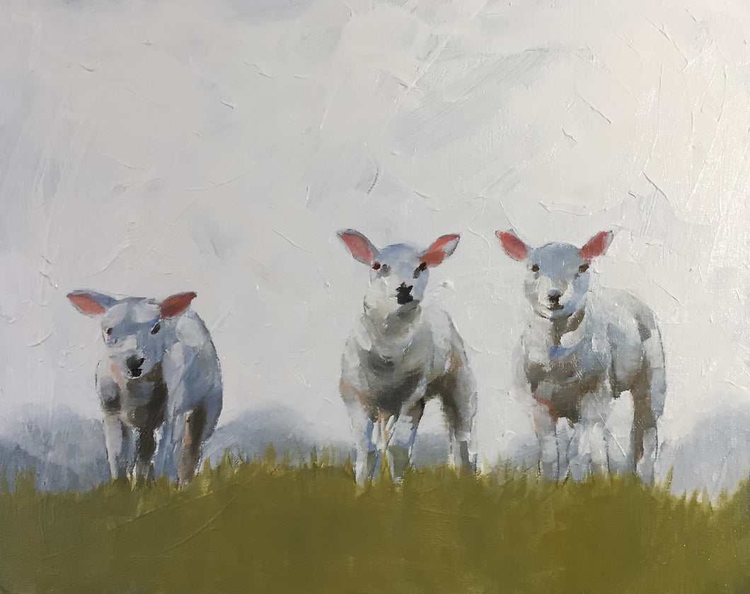Sheep Painting, sheep Poster, Wall art ,Canvas Print - Fine Art - from original oil painting by James Coates