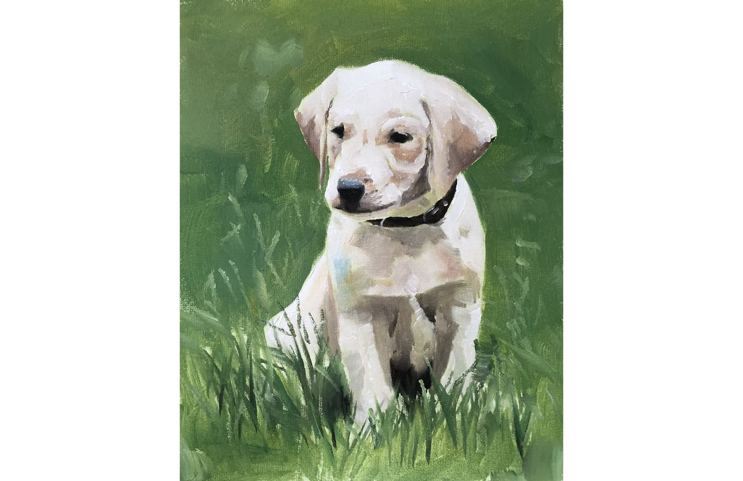 Labrador Puppy Painting, Prints, Canvas, Originals, Commissions,  Fine Art - from original oil painting by James Coates