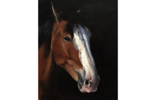 Load image into Gallery viewer, Horse Painting, Poster, Prints, Commissions,  Fine Art - from original oil painting by James Coates
