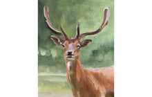 Load image into Gallery viewer, Stag Painting, deer Poster, Wall art, Canvas Print, Fine Art - from original oil painting by James Coates
