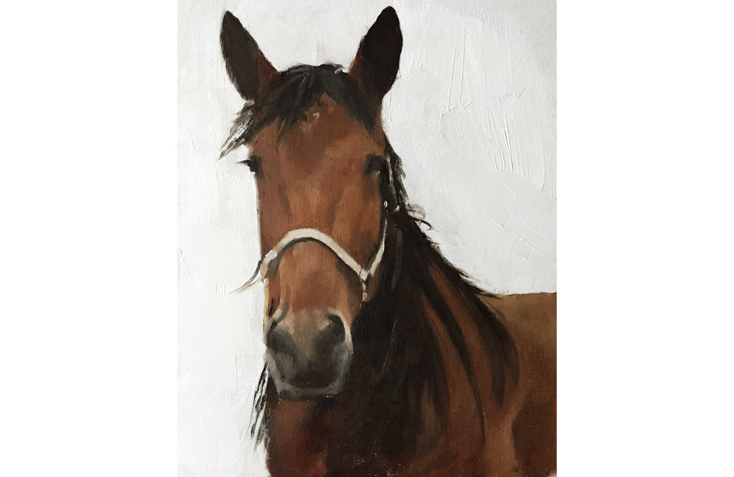 Horse Painting, Prints, Canvas, Posters, Originals, Commissions, Fine Art - from original oil painting by James Coates