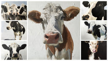 Load image into Gallery viewer, Brown and white Cow Painting, Print, Canvas, Poster, Original, Commissions - Fine Art - from original oil painting by James Coates
