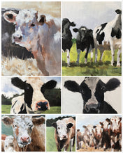 Load image into Gallery viewer, Cow Painting, PRINTS, Cow art, Canvas, Fine Art - from original oil painting by James Coates
