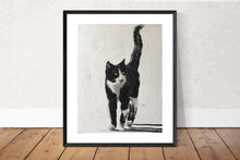 Load image into Gallery viewer, Cat Painting, cat Poster,  Wall art ,Canvas Print - Fine Art - from original oil painting by James Coates
