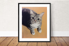 Load image into Gallery viewer, Cute Cat Painting, PRINTS, Canvas, Poster, Commissions, Fine Art - from original oil painting by James Coates
