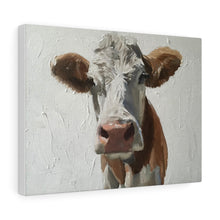 Load image into Gallery viewer, Cow Painting, Prints, Canvas, Posters, Originals, Commissions, Fine Art - from original oil painting by James Coates
