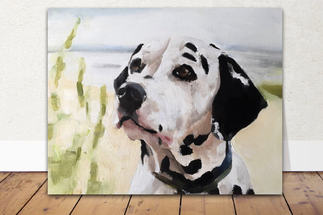 Dalmatian Dog Painting, Prints, Canvas, Posters, Originals, Commissions, Fine Art - from original oil painting by James Coates