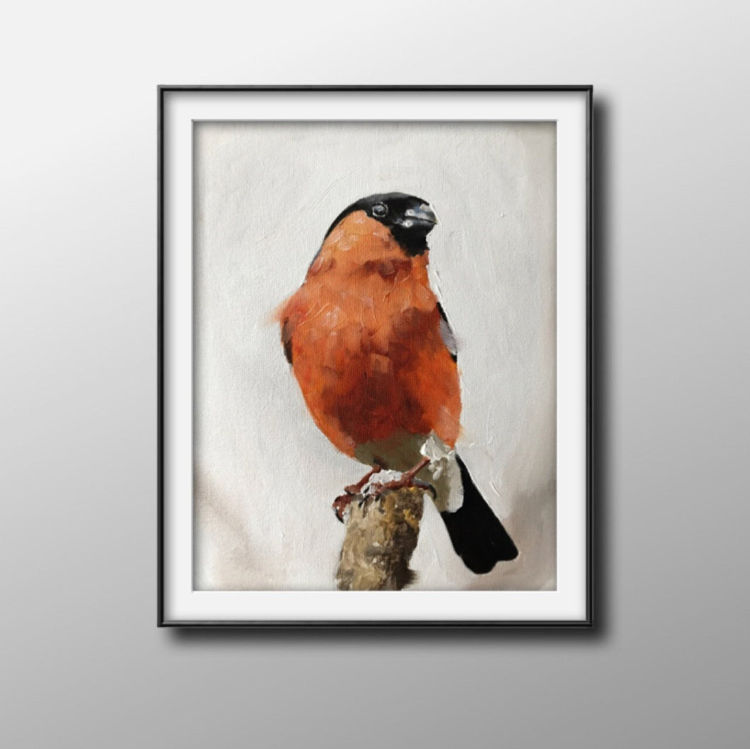 Bullfinch bird - Painting - Poster - Wall art - Canvas Print - Fine Art - from original oil painting by James Coates
