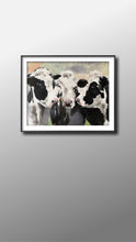 Load image into Gallery viewer, 3 Black and White Cows Painting, Prints, Canvas, Posters, Commissions, Fine Art - from original oil painting by James Coates
