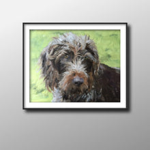 Load image into Gallery viewer, Shaggy Dog Painting, Posters, Prints, Commissions, Fine Art - from original oil painting by James Coates
