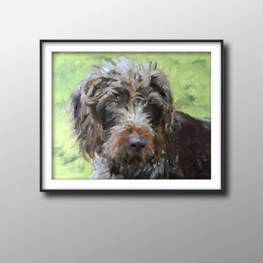 Shaggy Dog Painting, Posters, Prints, Commissions, Fine Art - from original oil painting by James Coates