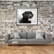 Load image into Gallery viewer, Black Labrador - Painting - Dog art - Dog Print - Fine Art - from original oil painting by James Coates
