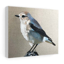 Load image into Gallery viewer, Bird Painting, Bird Poster , Bird Wall art, Bird Canvas, bird Print , Fine Art - from original oil painting by James Coates
