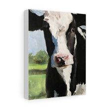 Load image into Gallery viewer, Cow Painting, PRINT, Cow art, Cow Print ,Fine Art ,from original oil painting by James Coates
