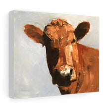 Load image into Gallery viewer, Cow Painting ,Cow art, Cow Print ,Fine Art - from original oil painting by James Coates
