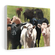 Load image into Gallery viewer, Cow Painting ,Cow art, Cow Print ,Fine Art - from original oil painting by James Coates
