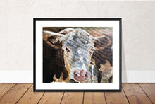 Load image into Gallery viewer, Cow Painting, Cow art, Cow Print ,Fine Art ,from original oil painting by James Coates
