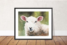 Load image into Gallery viewer, Sheep Painting, sheep art, Sheep Print ,Fine Art ,from original oil painting by James Coates
