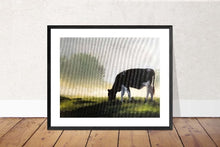 Load image into Gallery viewer, Cow Painting, Cow Wall art, Canvas Print, Fine Art - from original oil painting by James Coates
