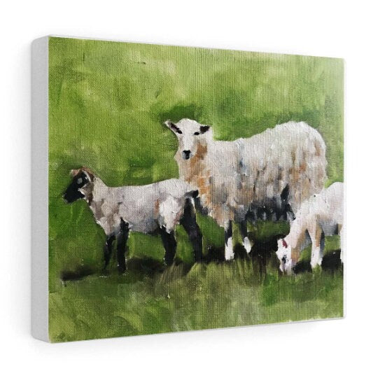 Sheep Painting, sheep art, Sheep Print ,Fine Art ,from original oil painting by James Coates