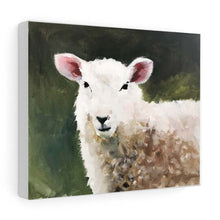 Load image into Gallery viewer, Sheep Painting, PRINTS, Canvas, Posters, Originals, Commissions - Fine Art - from original oil painting by James Coates
