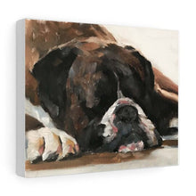 Load image into Gallery viewer, Boxer dog Sleeping Painting, PRINTS, Canvas, Posters, Commissions - Fine Art - from original oil painting by James Coates
