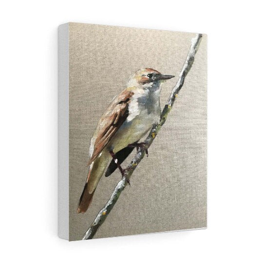 Bird Painting, Bird Poster , Bird Wall art, Bird Canvas, bird Print , Fine Art - from original oil painting by James Coates