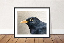 Load image into Gallery viewer, Black Bird Painting, Bird Poster , Bird Wall art, Bird Canvas, bird Print , Fine Art - from original oil painting by James Coates
